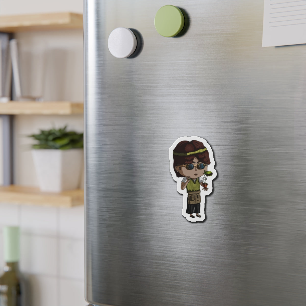 Virgo Magnets
