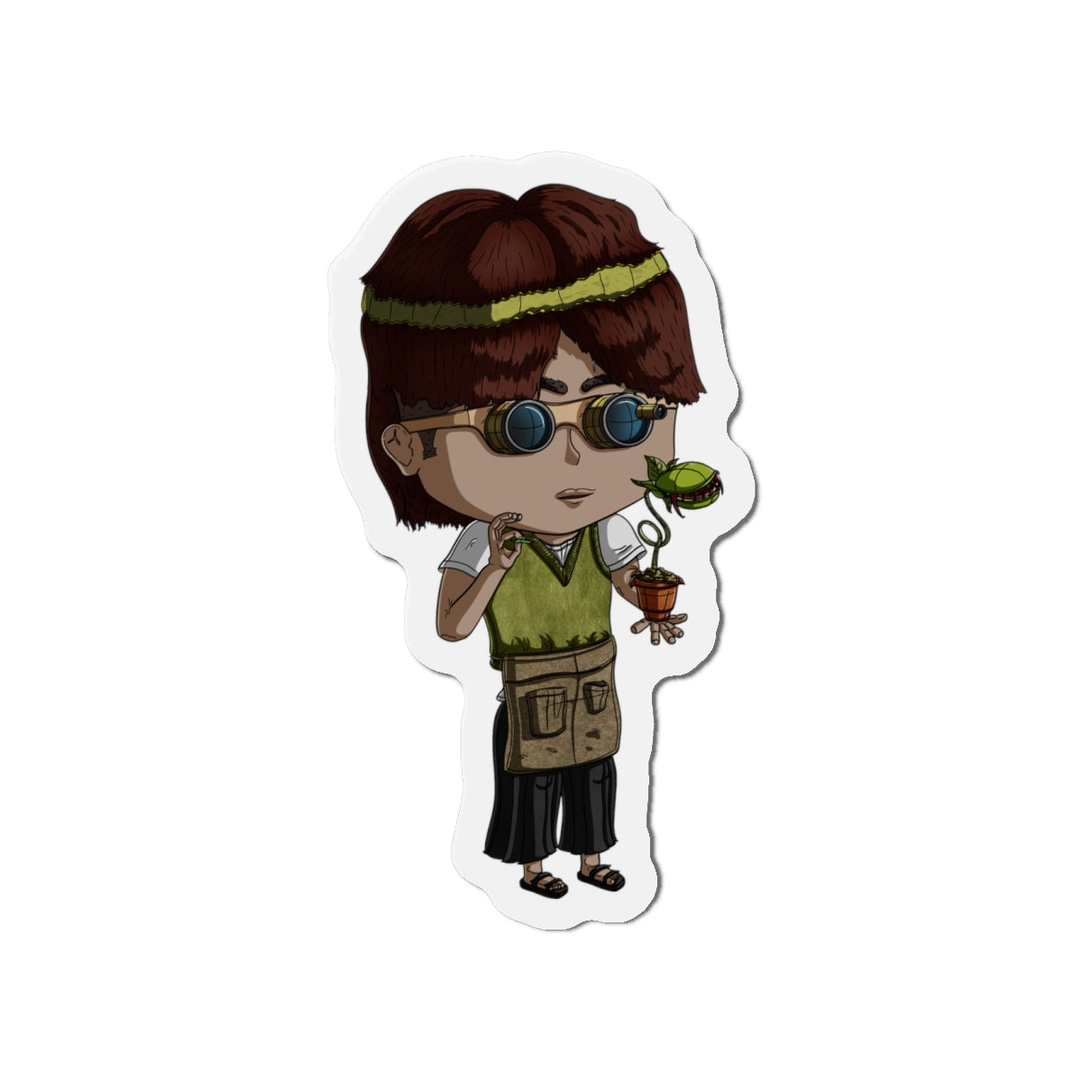 Virgo Magnets