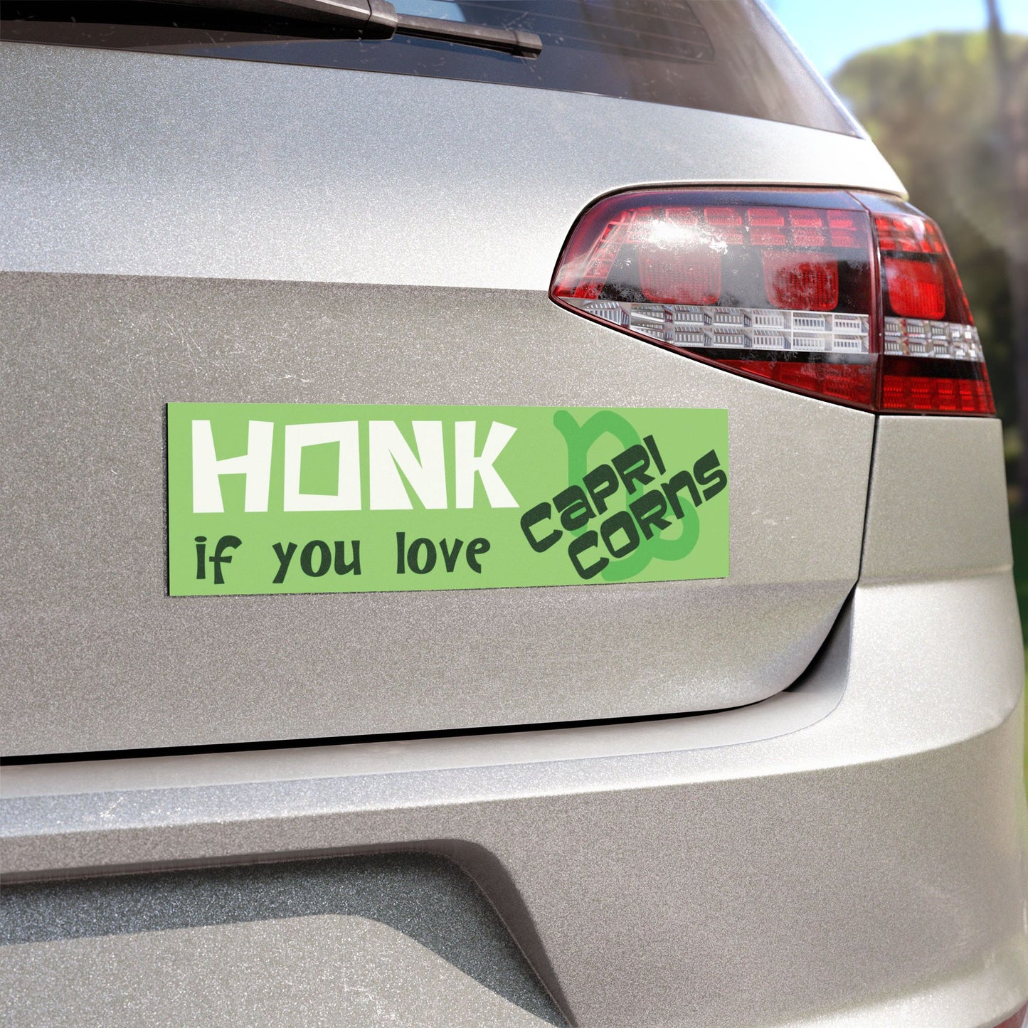 Honk if You Love Capricorns Car Magnet