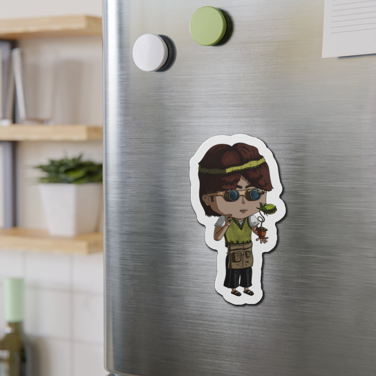 Virgo Magnets