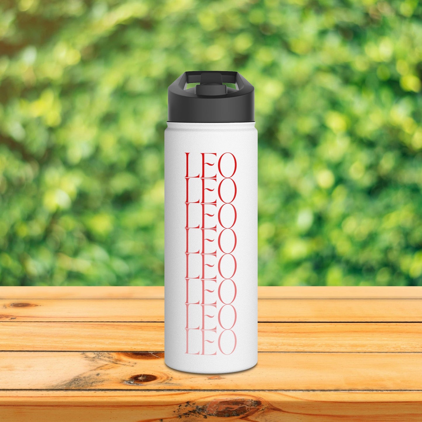 Leo Fade Water Bottle