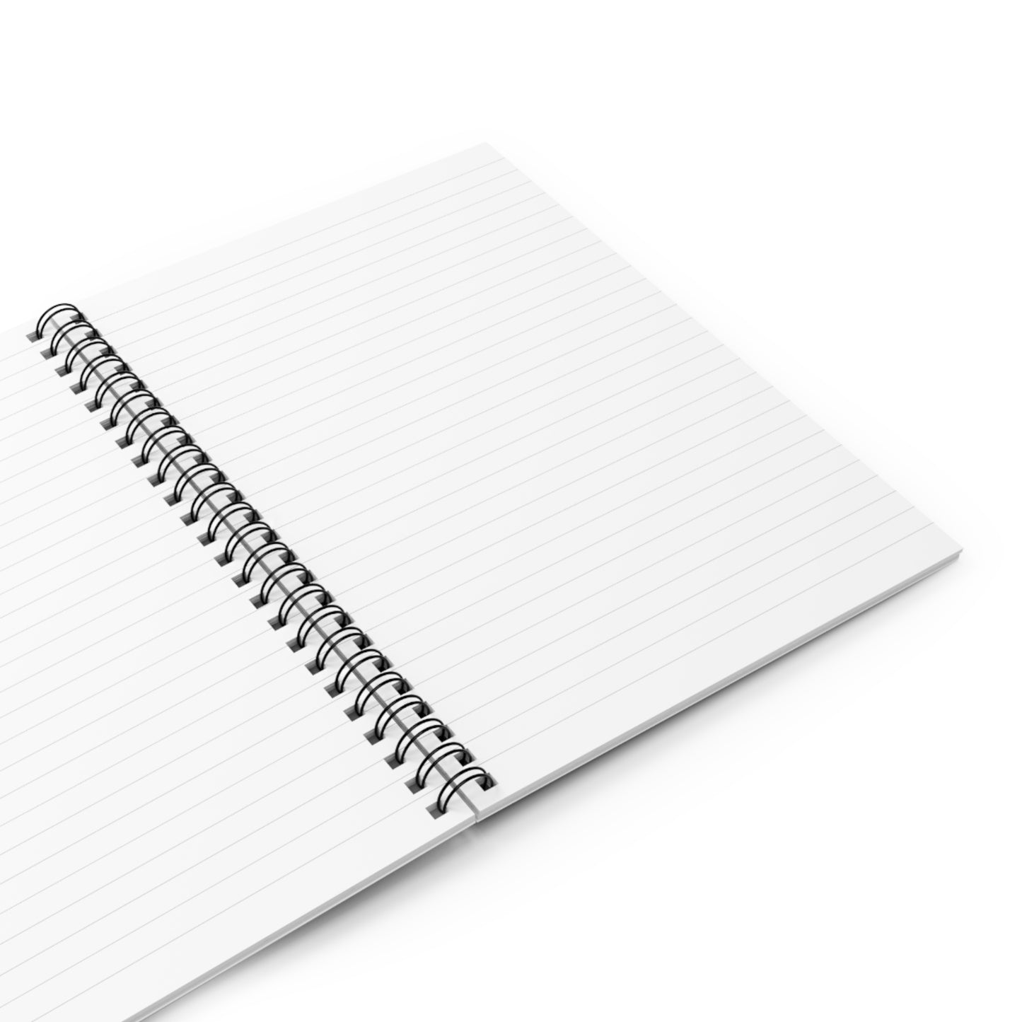 The Gemini Notebook