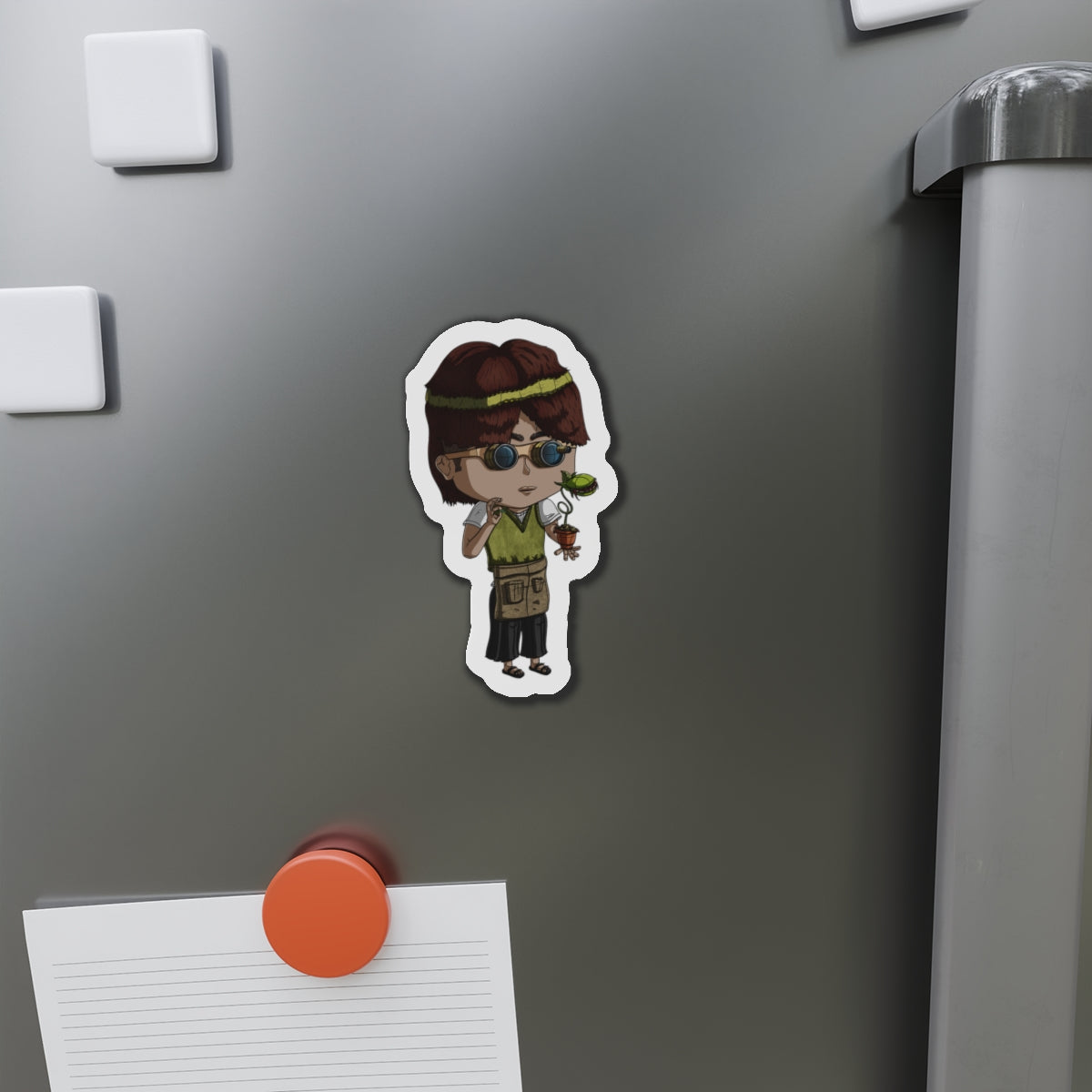 Virgo Magnets