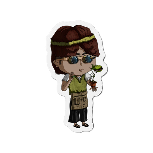 Virgo Magnets