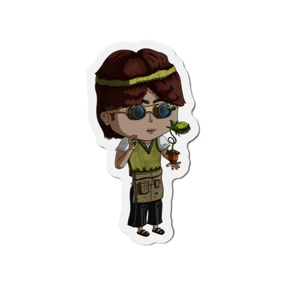 Virgo Magnets