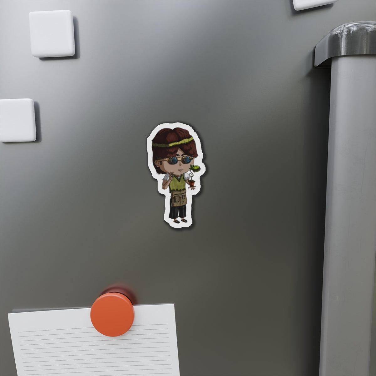 Virgo Magnets